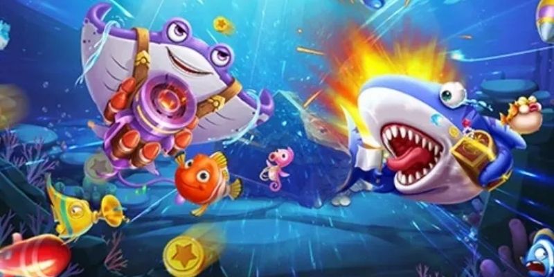 Chi tiết luật cơ bản cho thành viên